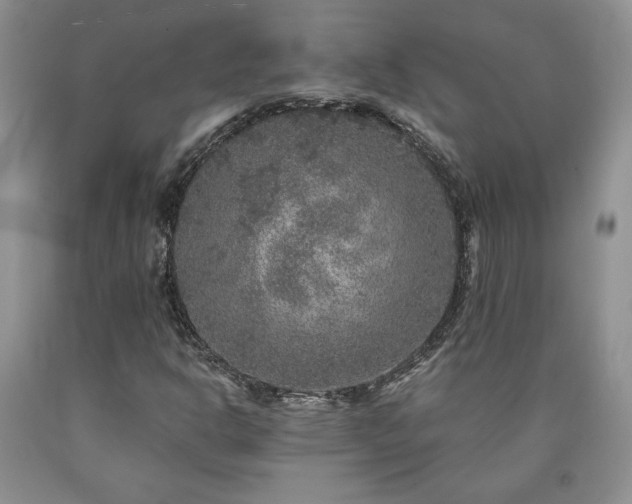 X0000090441302200707201245