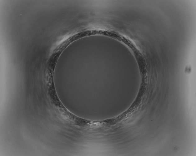 X0000090441303200707201245