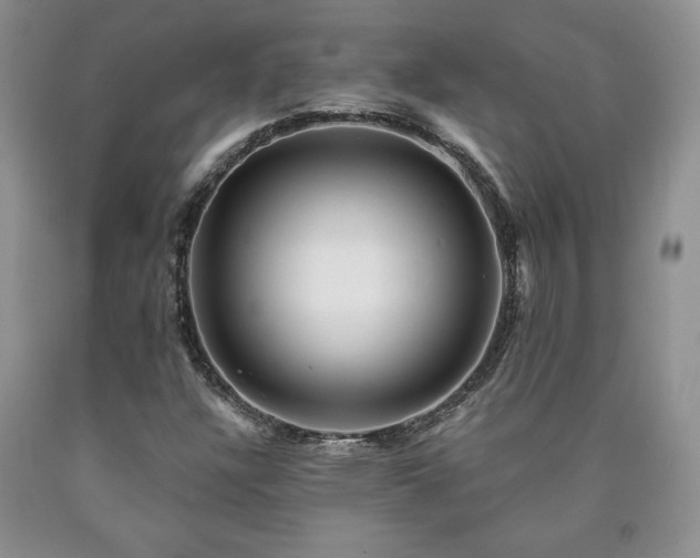 X0000090441304200707201245