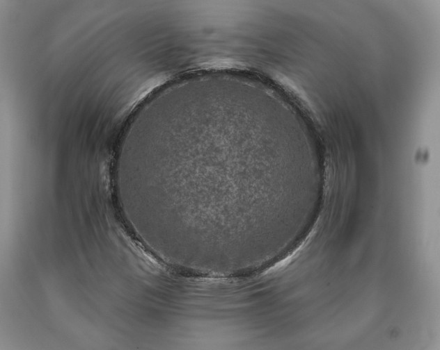 X0000090441305200707201245