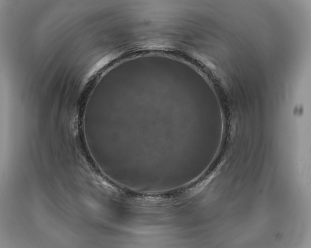 X0000090441306200707201245