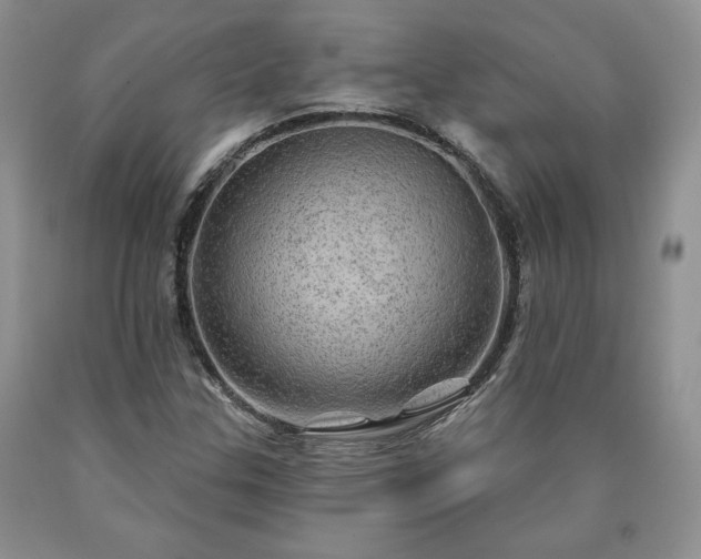 X0000090441307200707201245