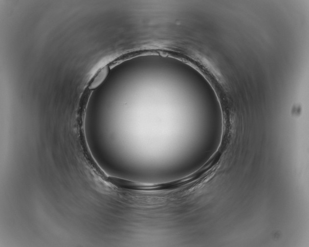 X0000090441308200707201245