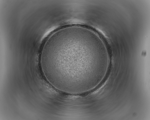 X0000090441309200707201245