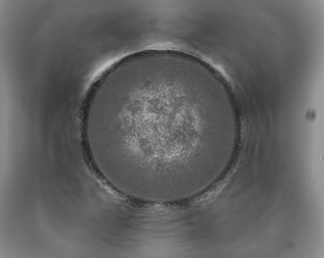 X0000090441311200707201245