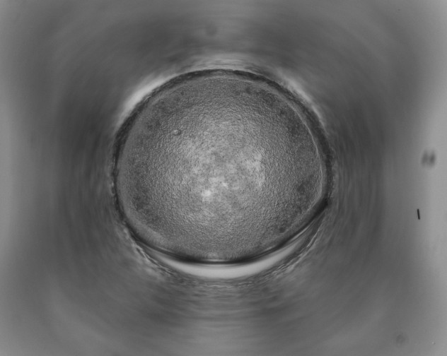 X0000090441312200707201245