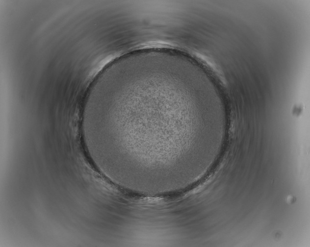 X0000090441313200707201245