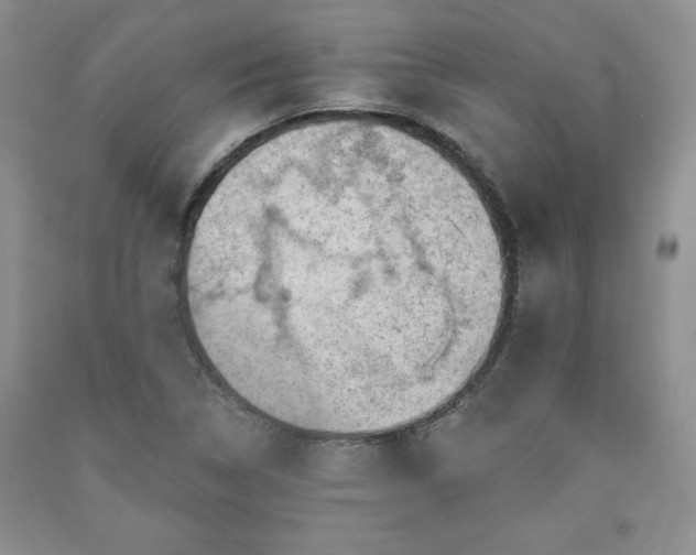 X0000090441314200707201245