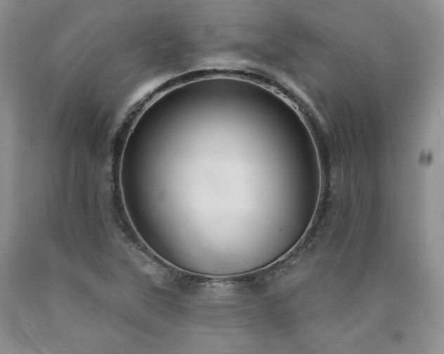 X0000090441315200707201245