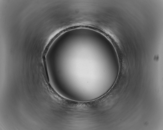 X0000090441316200707201245