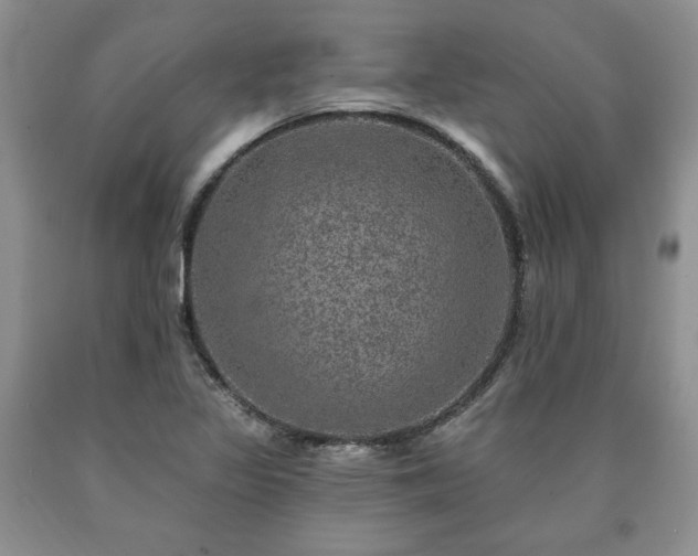 X0000090441317200707201245