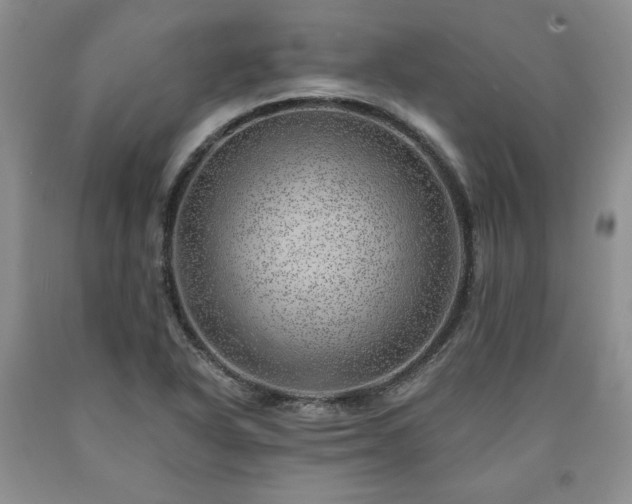 X0000090441318200707201245