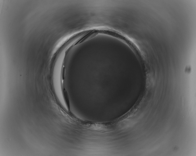 X0000090441319200707201245