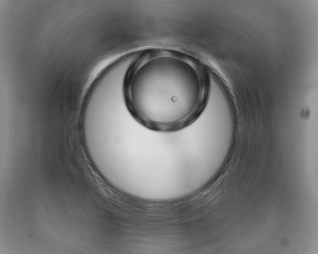 X0000090441320200707201245