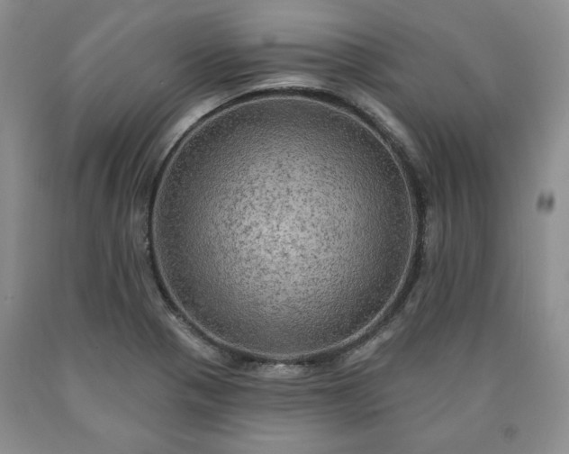 X0000090441321200707201245