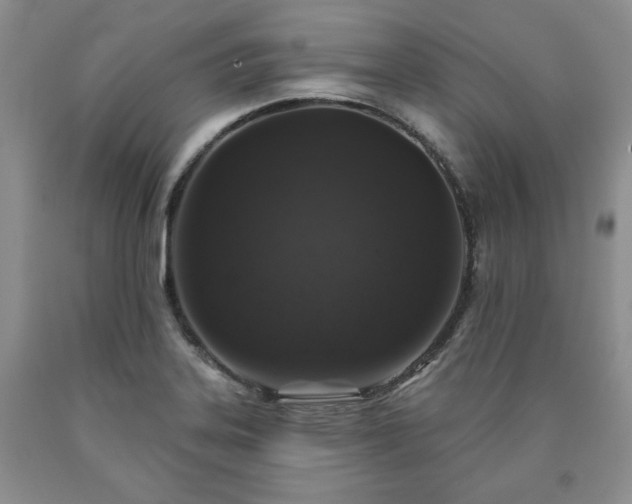 X0000090441323200707201245