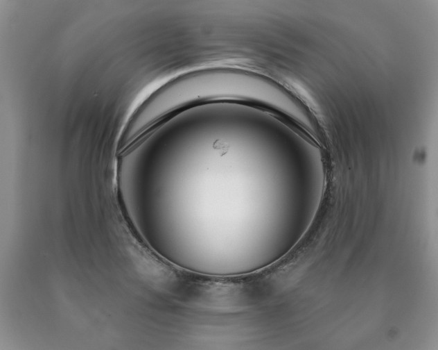 X0000090441324200707201245