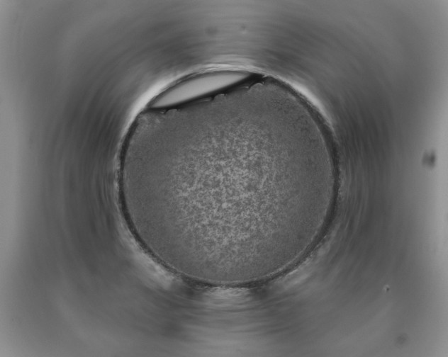 X0000090441325200707201245