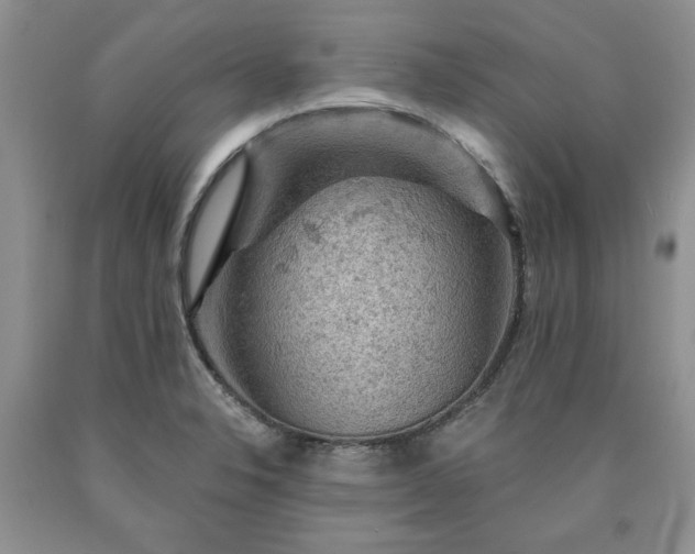 X0000090441326200707201245