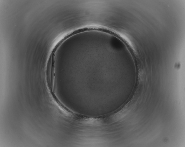 X0000090441327200707201245