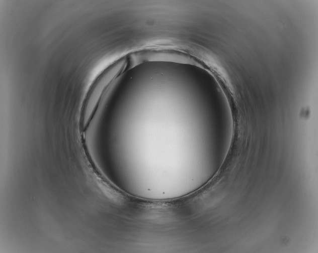 X0000090441328200707201245