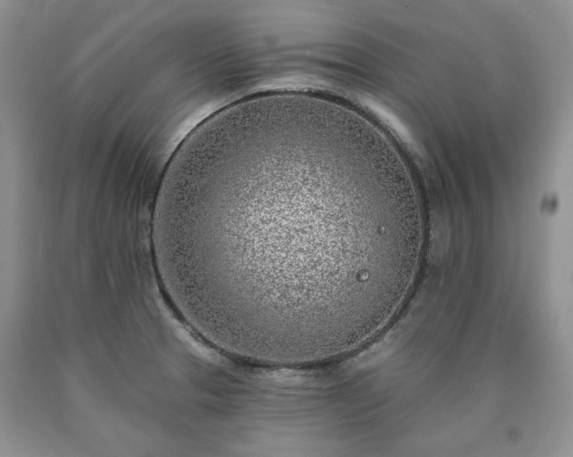 X0000090441329200707201245