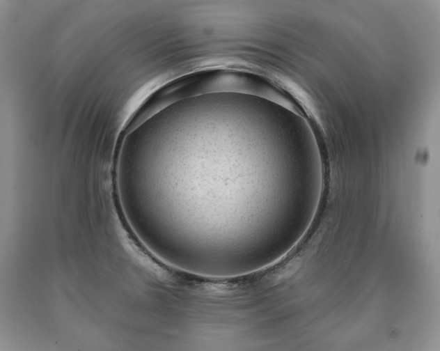 X0000090441330200707201245