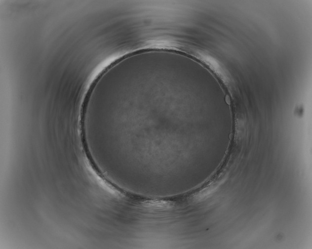 X0000090441331200707201245