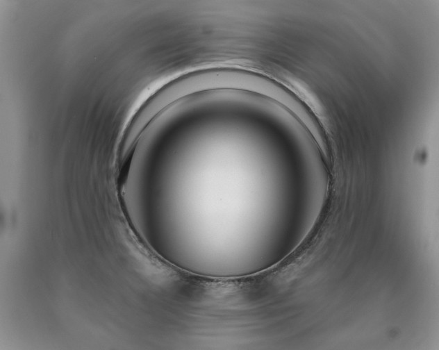 X0000090441332200707201245