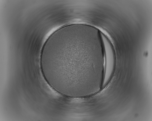 X0000090441333200707201245