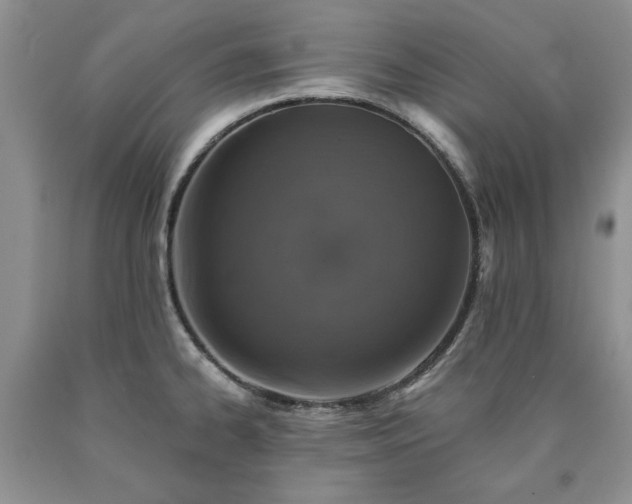 X0000090441334200707201245