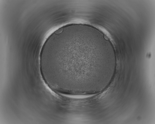 X0000090441335200707201245