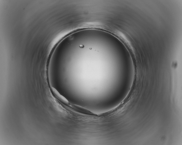 X0000090441336200707201245