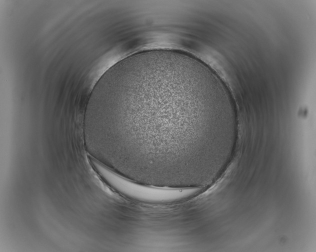 X0000090441337200707201245