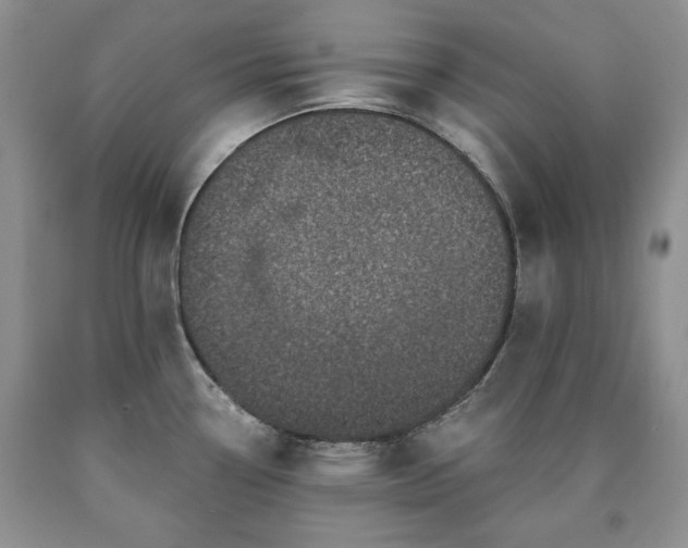 X0000090441338200707201245