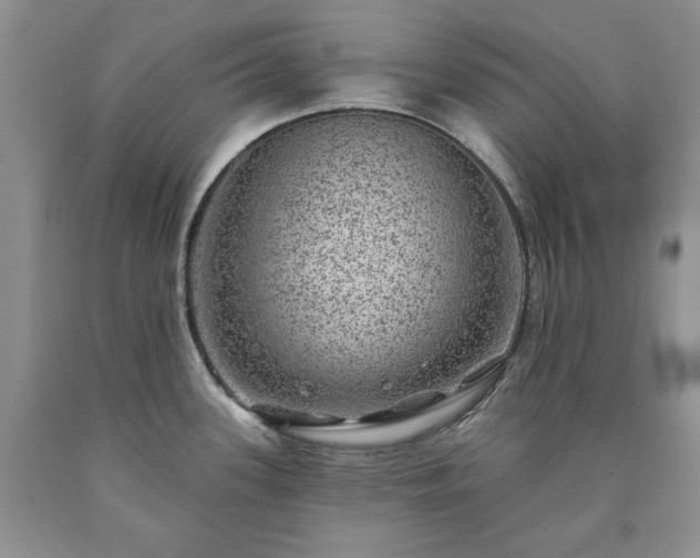 X0000090441339200707201245