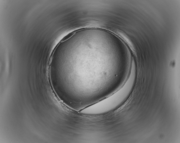 X0000090441340200707201245