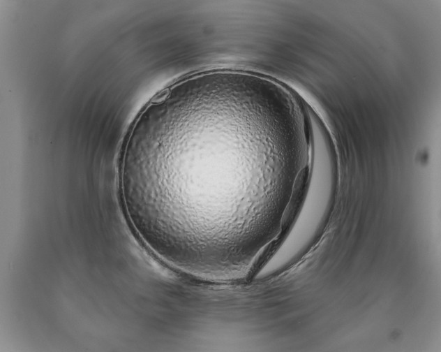 X0000090441341200707201245