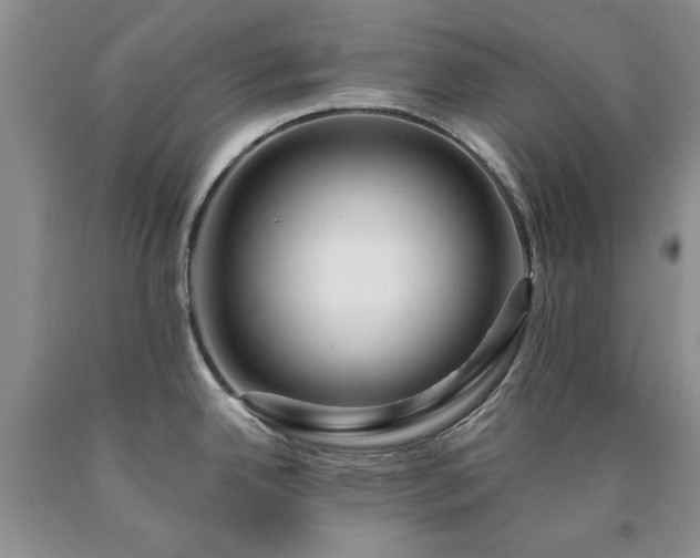 X0000090441342200707201245