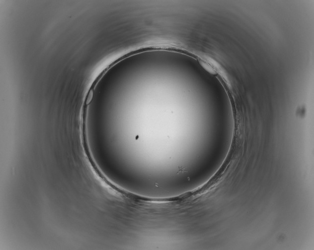 X0000090441343200707201245