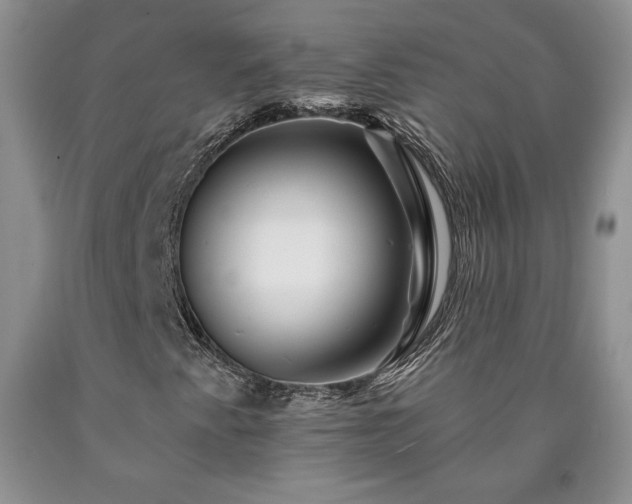 X0000090441345200707201245