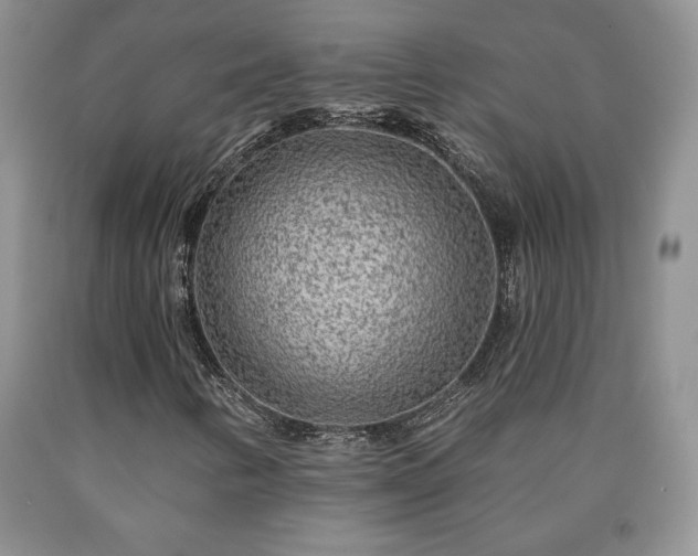 X0000090441346200707201245