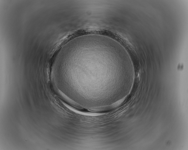 X0000090441348200707201245