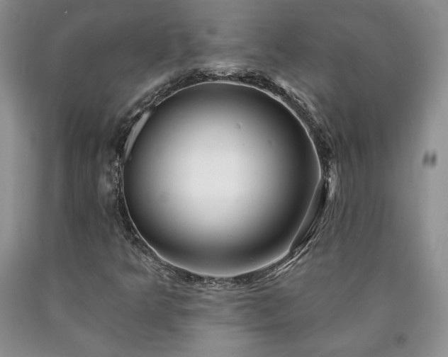 X0000090441349200707201245