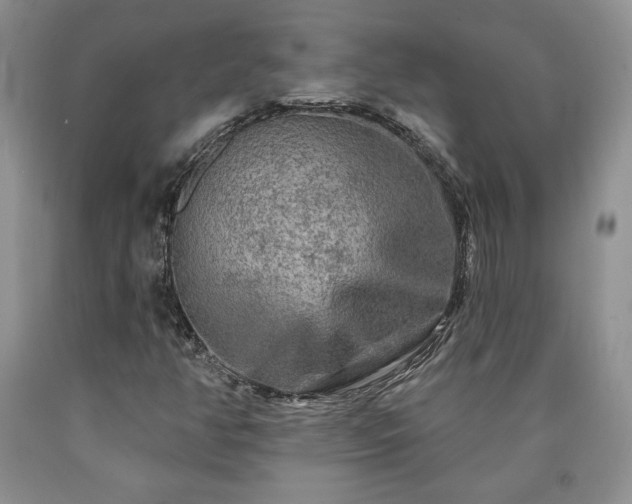 X0000090441350200707201245