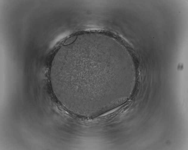 X0000090441351200707201245