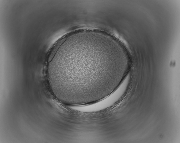 X0000090441352200707201245