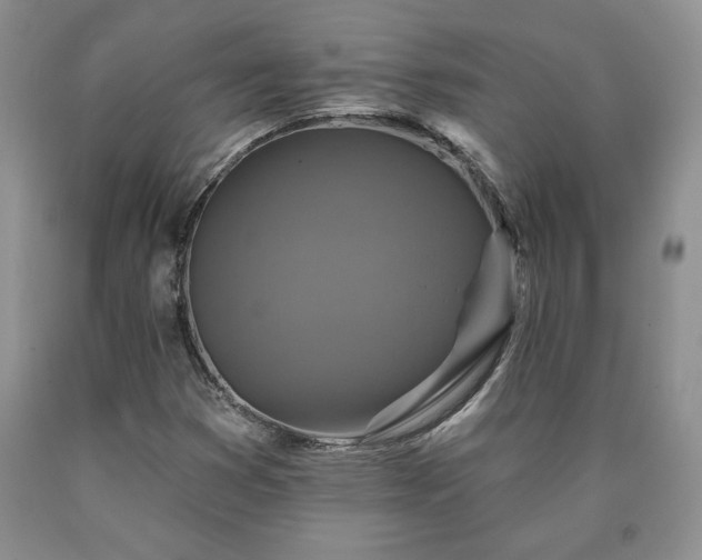 X0000090441353200707201245