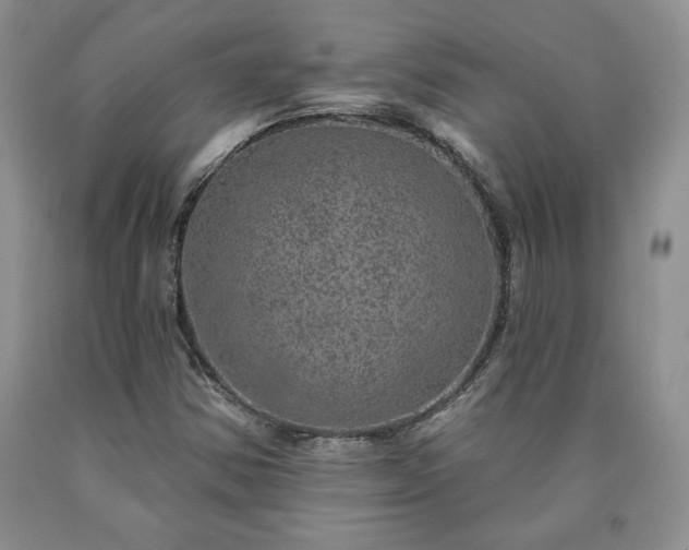 X0000090441354200707201245