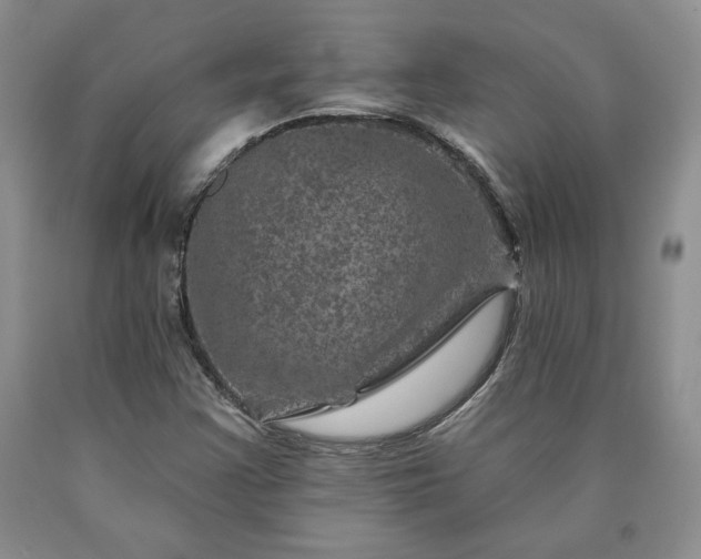 X0000090441355200707201245